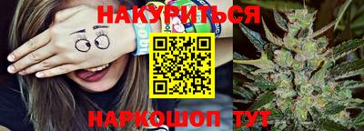спиды Аргун