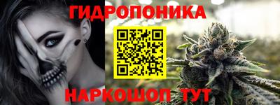 спиды Аргун