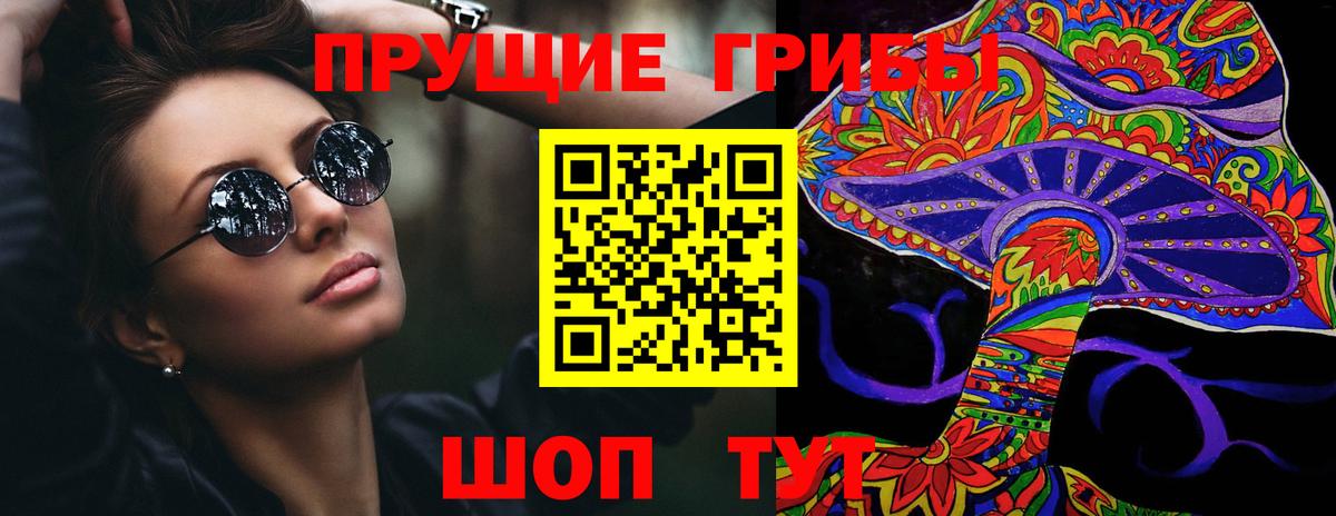 Псилоцибиновые грибы Psilocybine cubensis  Вход с VPN  Выкса  закладки  Псилоцибиновые грибы Psilocybe 